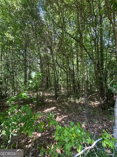 0 Mize Road, Commerce, GA 30529