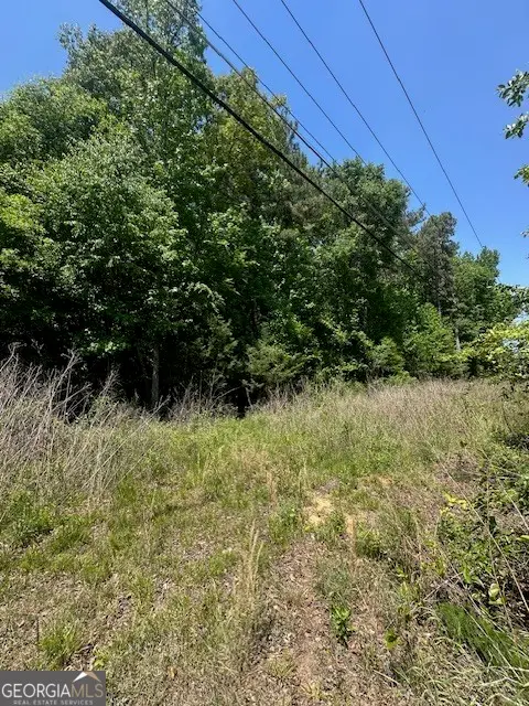 0 Mize Road, Commerce, GA 30529 - #3