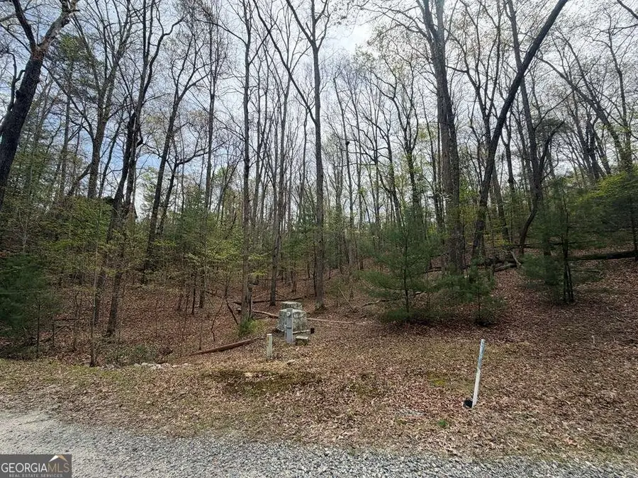 #16 Christian Crossing, Morganton, GA 30560 - #3