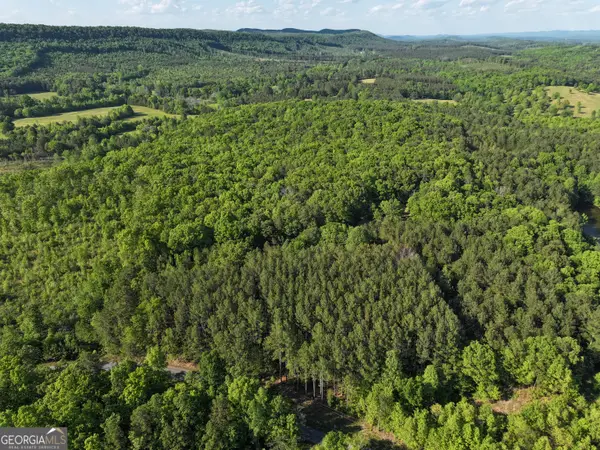 1218 Johnson Cemetery Road (29 +/-acres), Lyerly, GA 30730