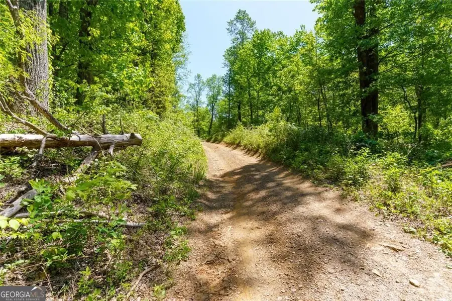 0 Fire Tower Road #LOT 7, Jasper, GA 30143 - #2