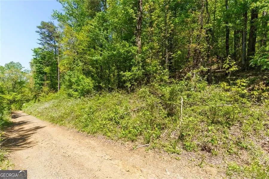 0 Fire Tower Road #LOT 7, Jasper, GA 30143 - #3