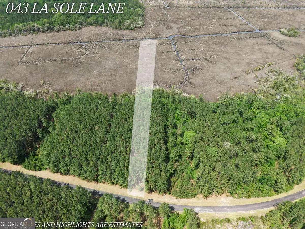 LOT 43 La Sole Lane, Waverly, GA 31565 - #1