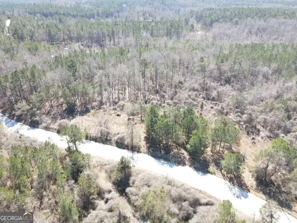 0 Old Rico Road, Chattahoochee Hills, GA 30268