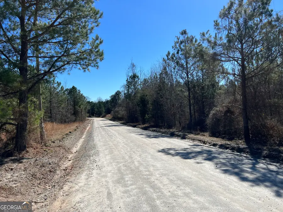 0 Old Rico Road, Chattahoochee Hills, GA 30268 - #3