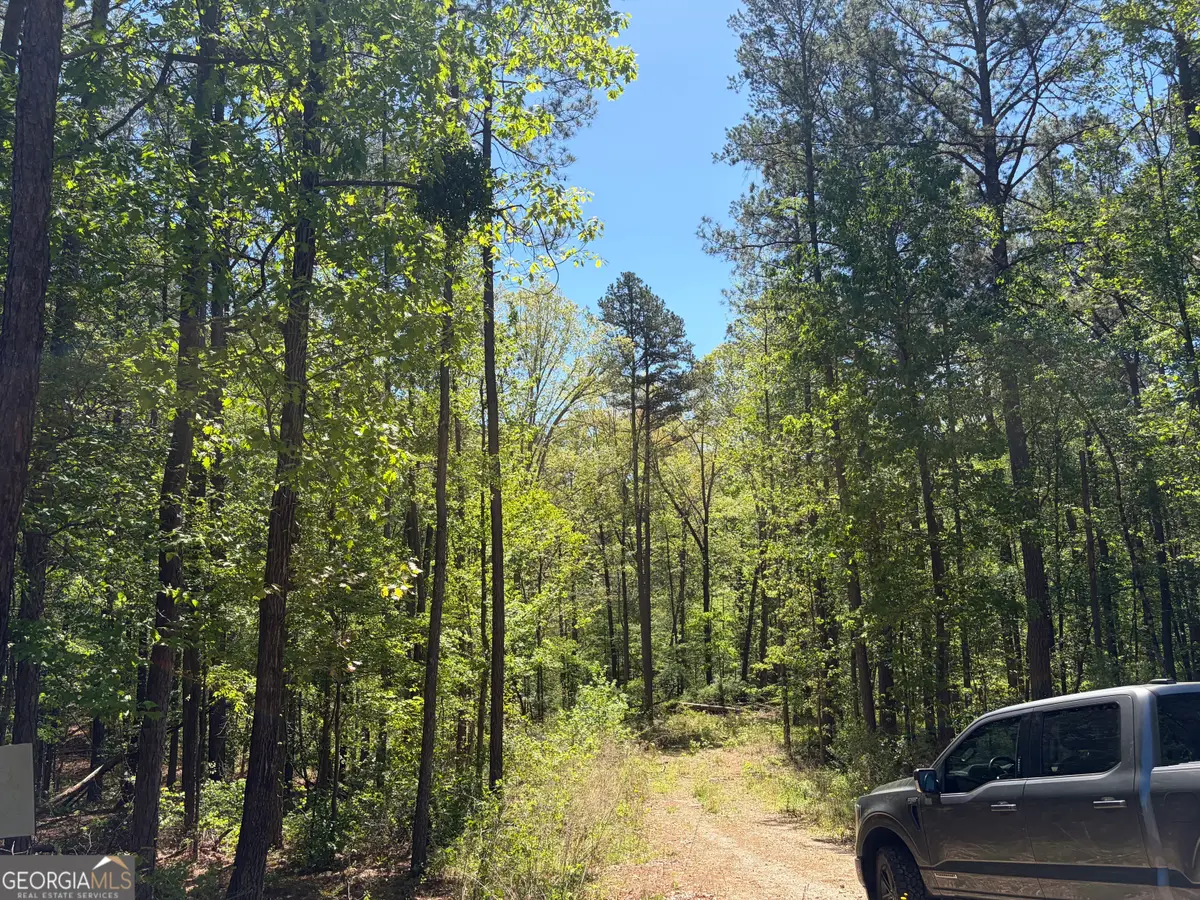 0 Gore Lakes Road, Dallas, GA 30132 - #1