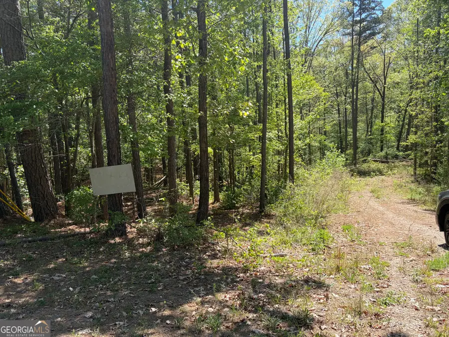 0 Gore Lakes Road, Dallas, GA 30132 - #2