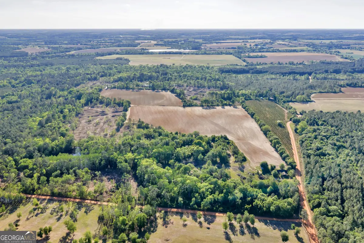 0 Daffodil Rd, Ocilla, GA 31774 - #1