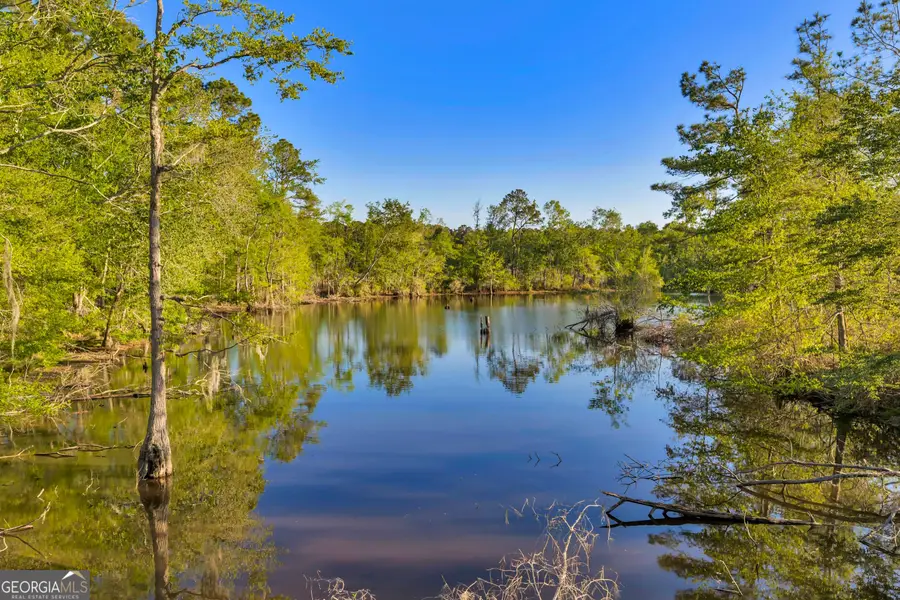 0 Daffodil Rd, Ocilla, GA 31774 - #2