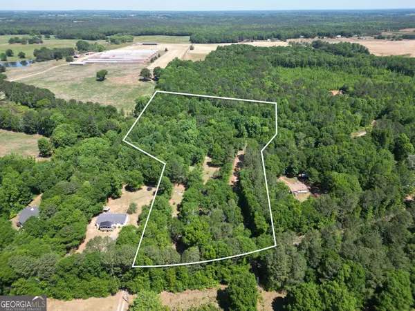 222 Zellner Road, Culloden, GA 31016