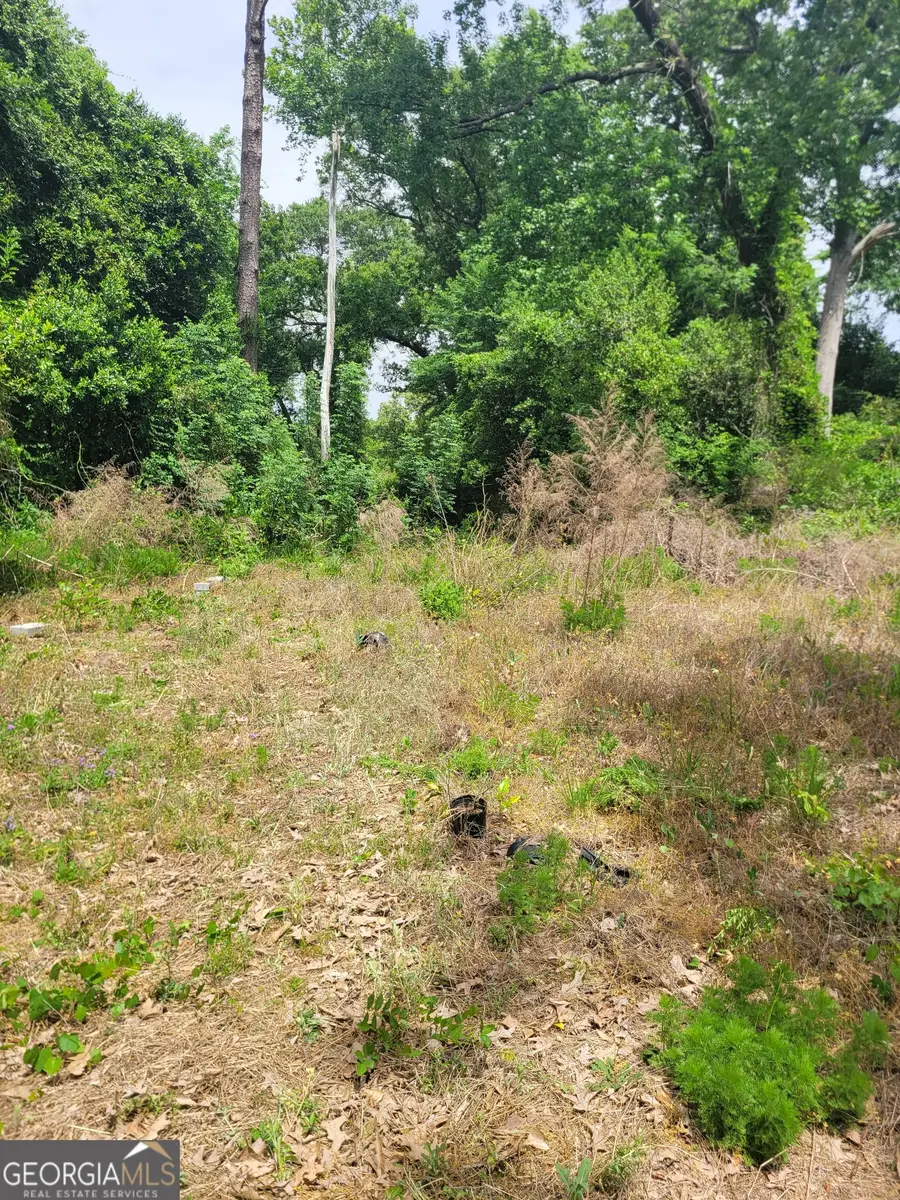 3340 Riggins Mill Road, Macon, GA 31217 - #2