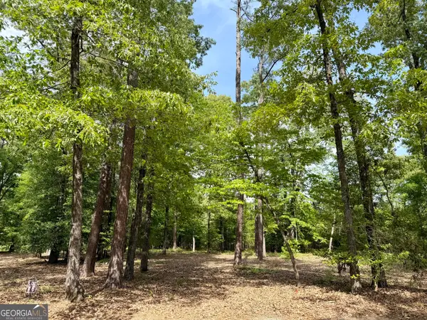 0 Deer Creek Trail #LOT 6, Dublin, GA 31021