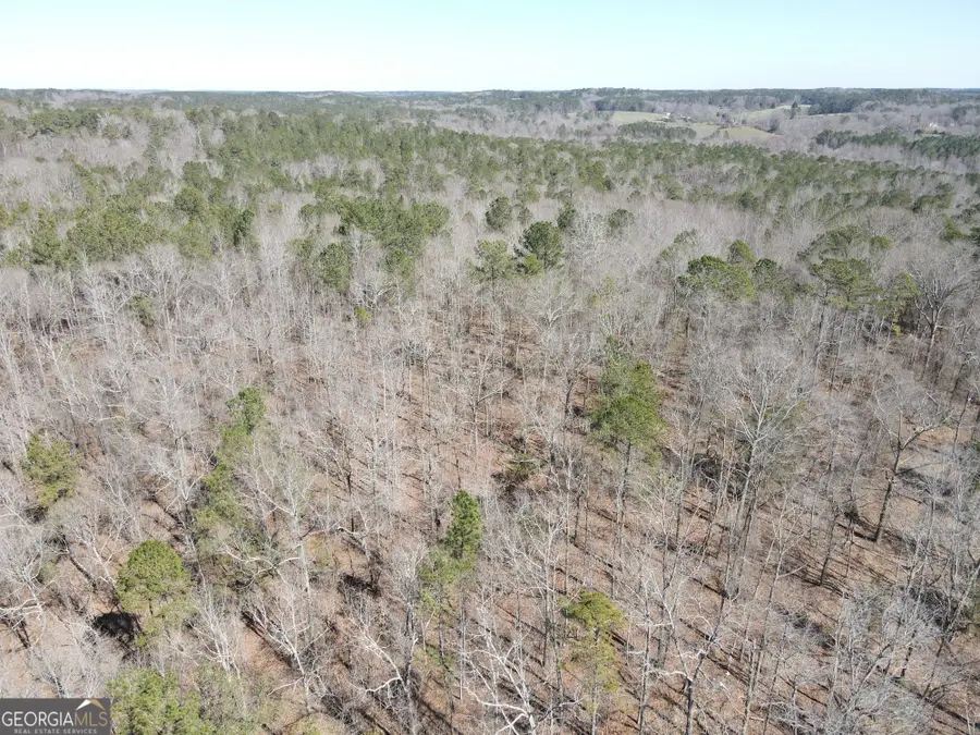 707 Atlanta Newnan Road, Palmetto, GA 30268 - #2
