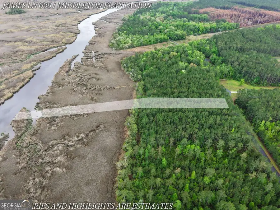 LOT 36 James Lane, White Oak, GA 31568 - #3