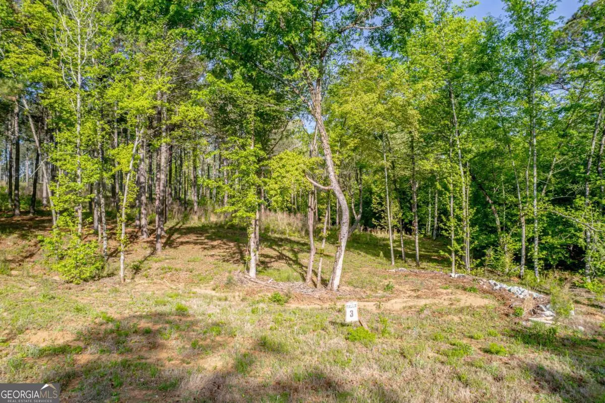 126 Falls Lane, Milledgeville, GA 31061 - #1