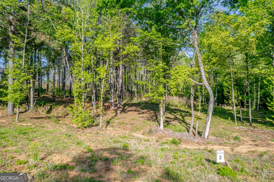 126 Falls Lane, Milledgeville, GA 31061 - #3