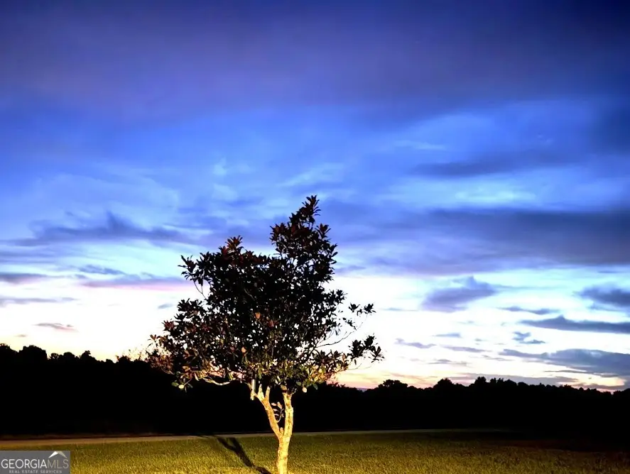 17560 County Road 87, Woodland, AL 36280 - #3