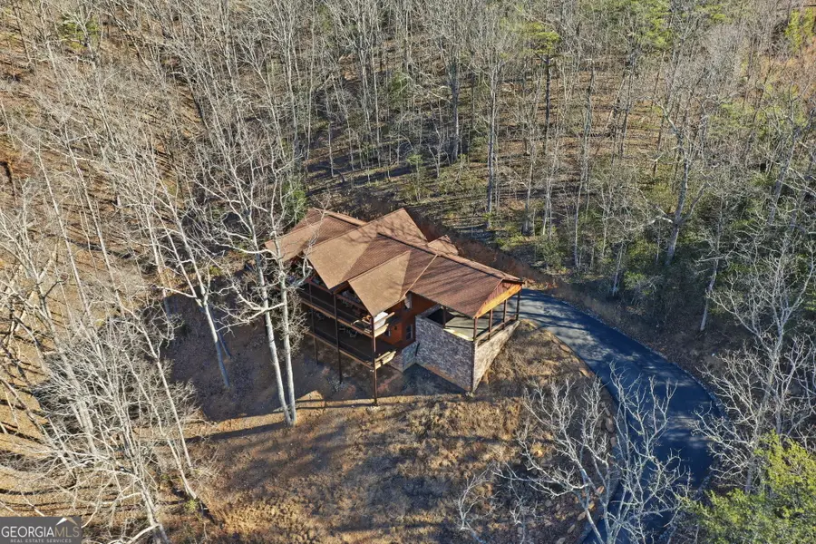 175 Stuart Drive, Mineral Bluff, GA 30559 - #3
