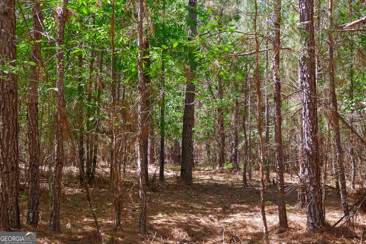 0 Effingham Highway, Sylvania, GA 30467 - #1
