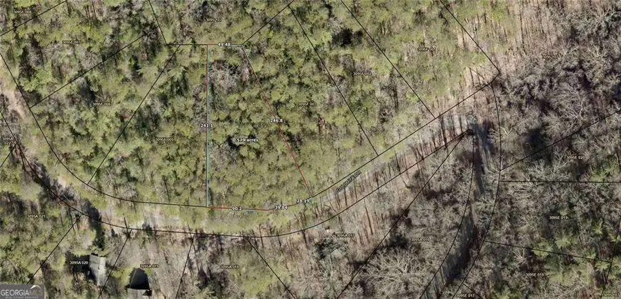 20 Goldmine Drive, Ellijay, GA 30536 - #3