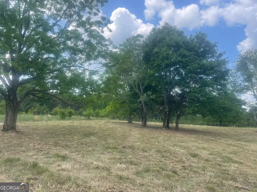 0 Thankful Road, Madison, GA 30650 - #3