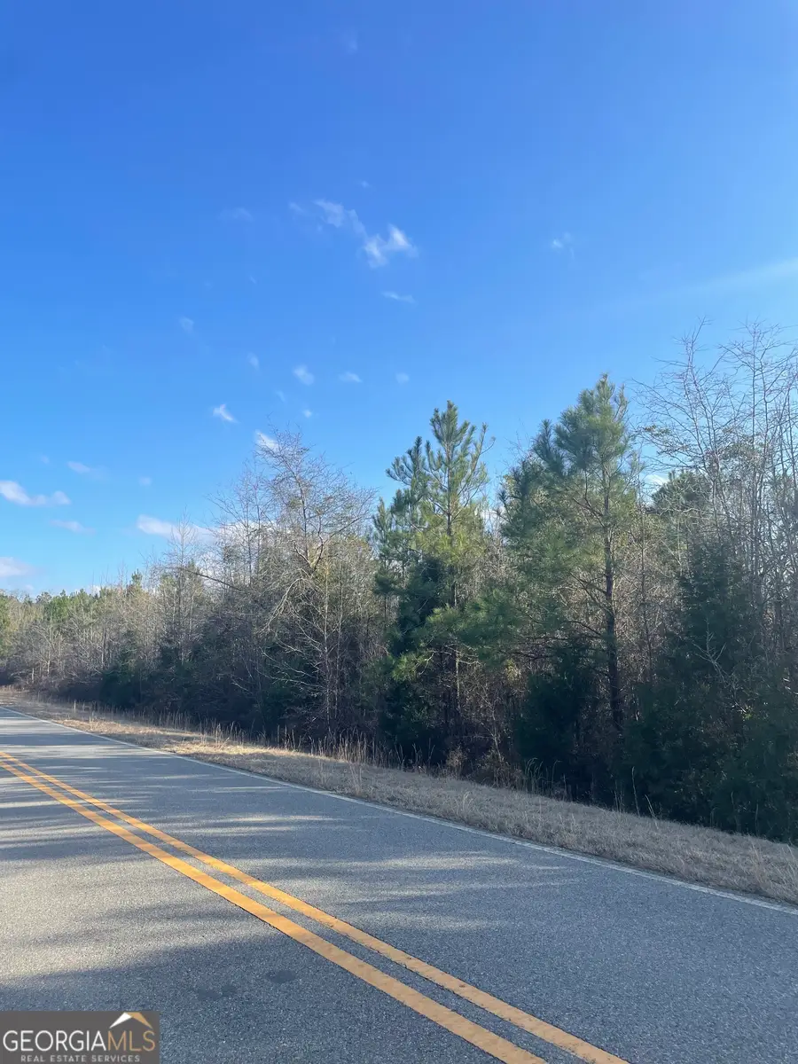 0 Rock Springs Road, Dublin, GA 31021 - #2