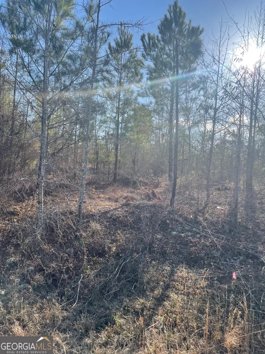 0 Rock Springs Road, Dublin, GA 31021 - #3