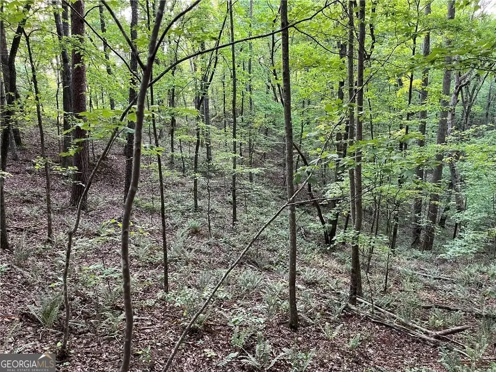 1720 Rebekah Ridge Road, Talking Rock, GA 30175 - #1