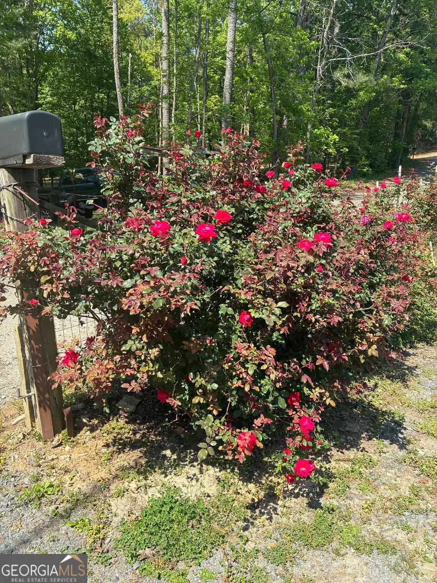 407 Knight Drive, Ellijay, GA 30540 - #2