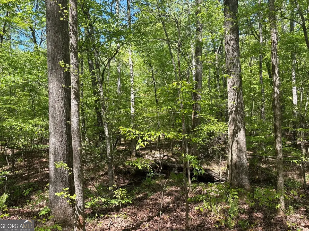 0 Off North Taylor Road, Woodland, GA 31836 - #1