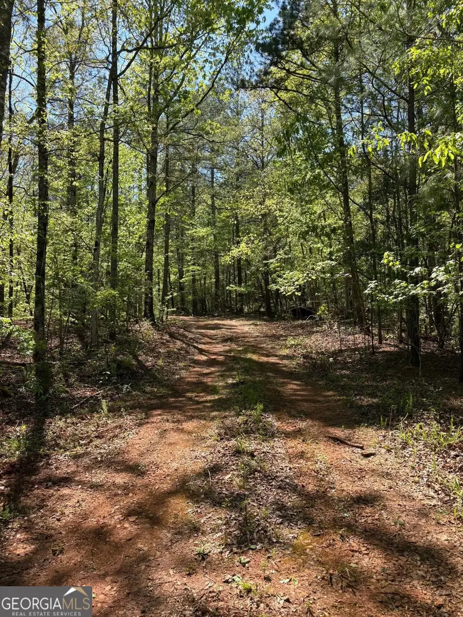 0 Off North Taylor Road, Woodland, GA 31836 - #3