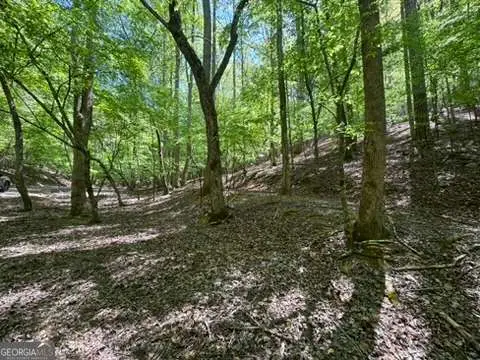 LOT 1972 Nancy Court, Ellijay, GA 30540 - #1