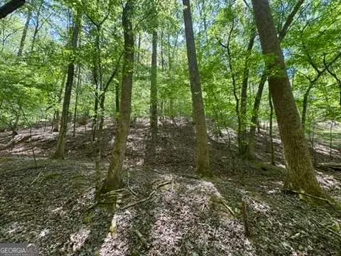 LOT 1972 Nancy Court, Ellijay, GA 30540 - #2