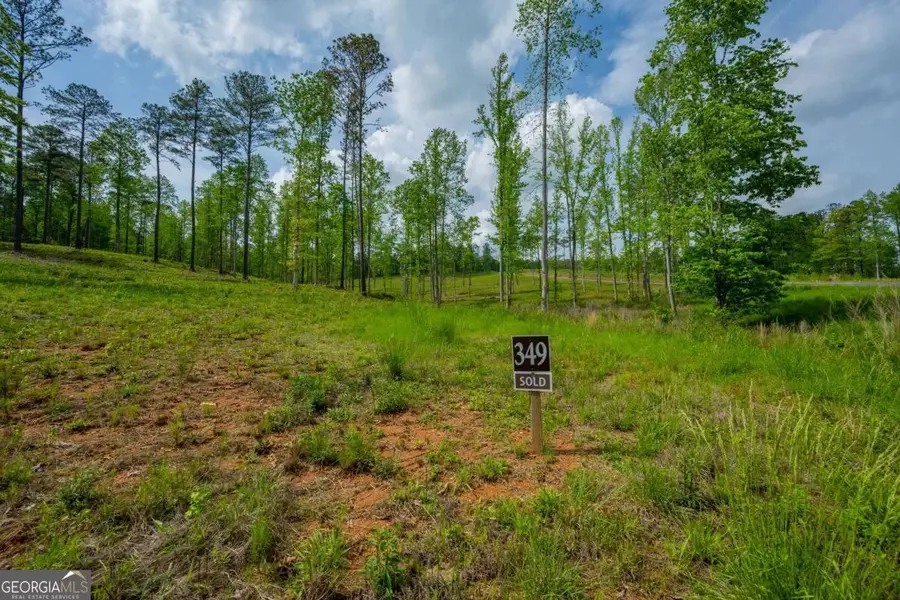 L349 The Vineyard At Yukon, Ellijay, GA 30540 - #2