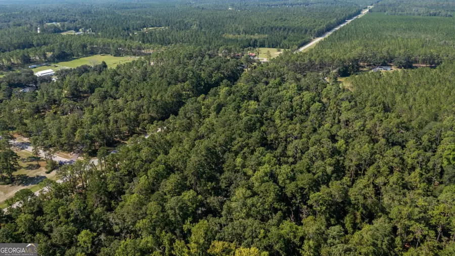 0 Highway 121 Highway, Folkston, GA 31537 - #3