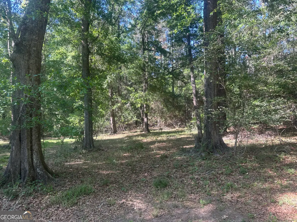 300 Country Club Road Lot 5 Highway, Sylvania, GA 30467 - #1