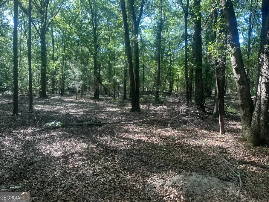 300 Country Club Road Lot 5 Highway, Sylvania, GA 30467 - #2