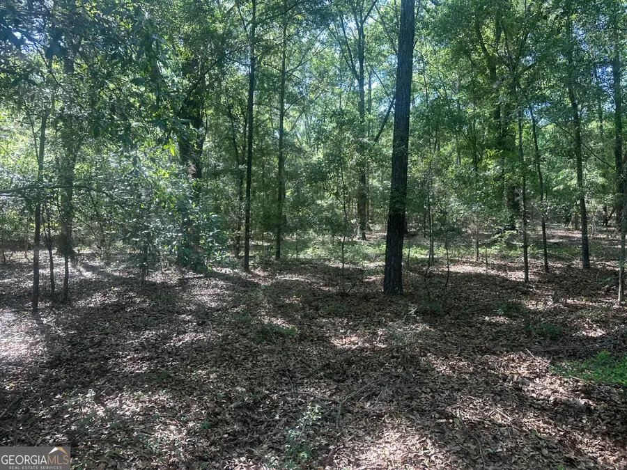 300 Country Club Road Lot 5 Highway, Sylvania, GA 30467 - #3