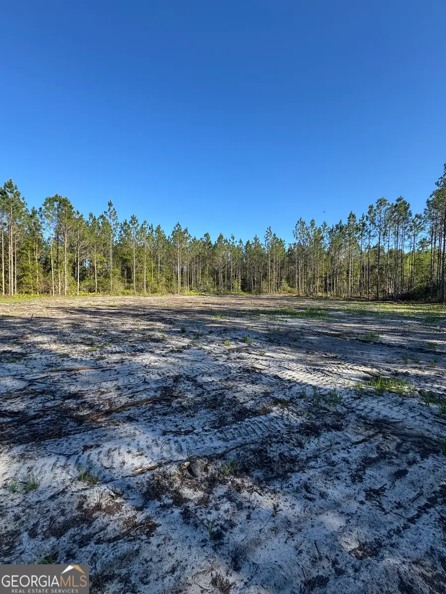 4490 Ga Highway 259, White Oak, GA 31568 - #2