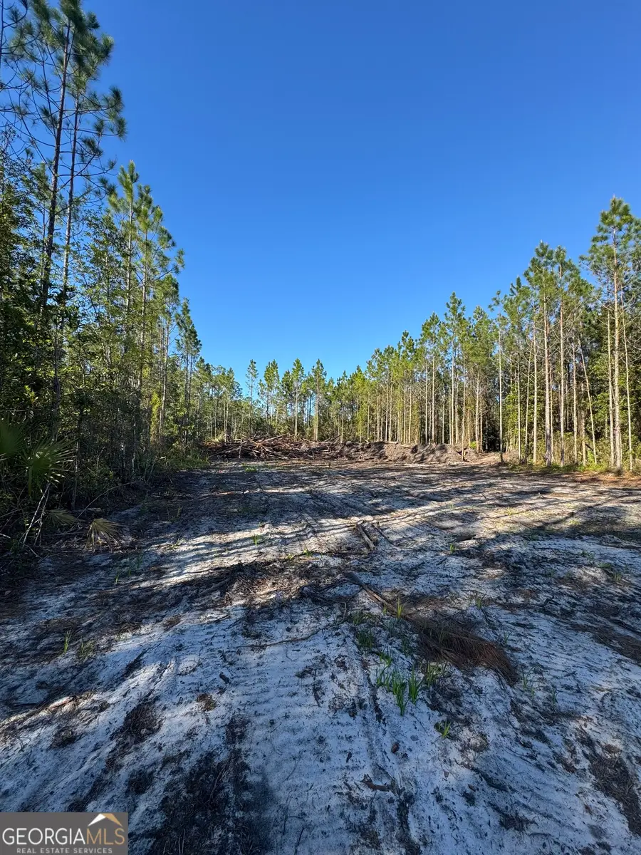 4490 Ga Highway 259, White Oak, GA 31568 - #3