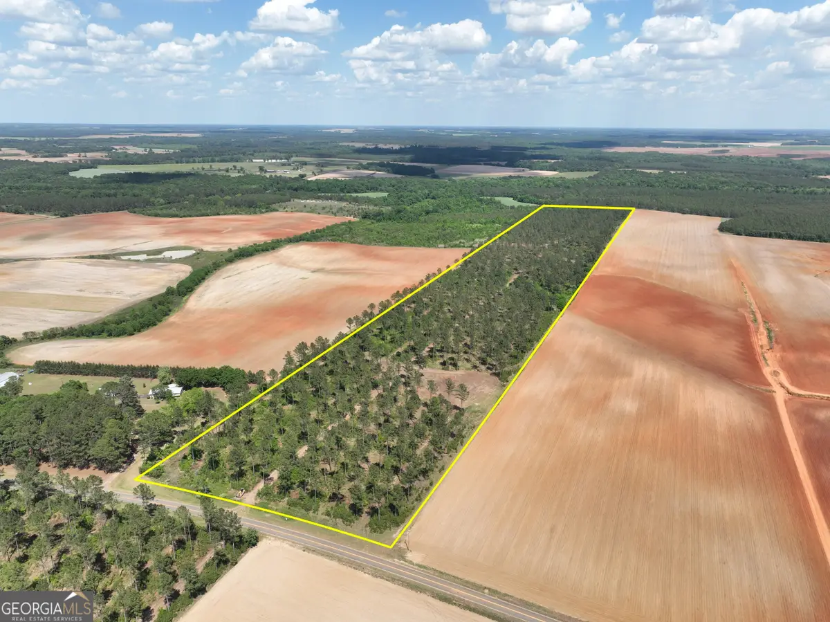 0 Poplar Springs Road, Byromville, GA 31007 - #1