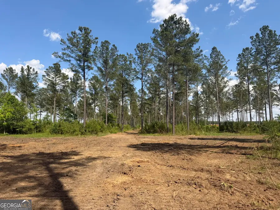 0 Poplar Springs Road, Byromville, GA 31007 - #2