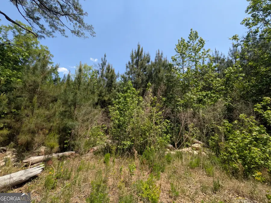 0 Dorton Creek Road, Manchester, GA 31816 - #3