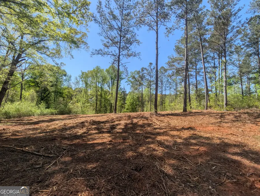 34 Magnum Lane, Pendergrass, GA 30567 - #3