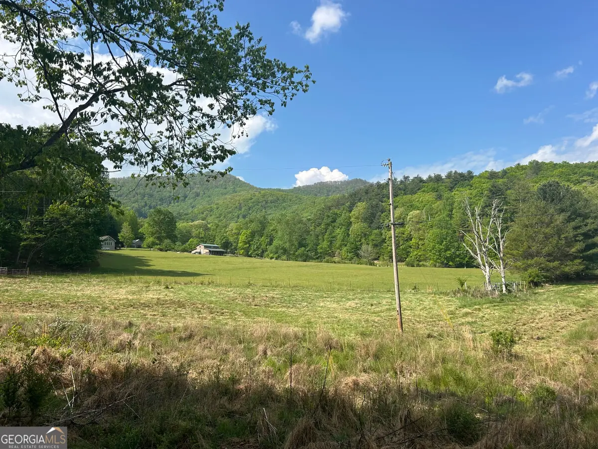 10 AC Pleasant Valley Lane, Blairsville, GA 30512 - #1