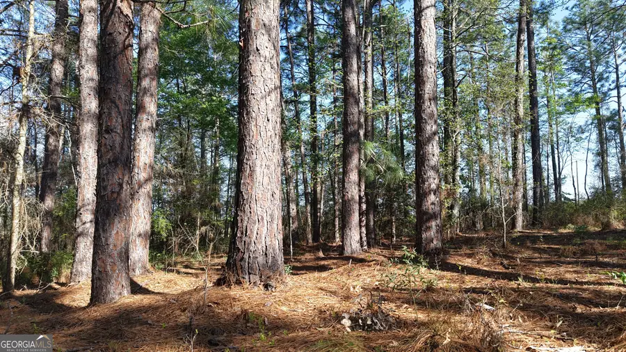 2.0 ACRES St Mark Road, Dublin, GA 31021 - #3