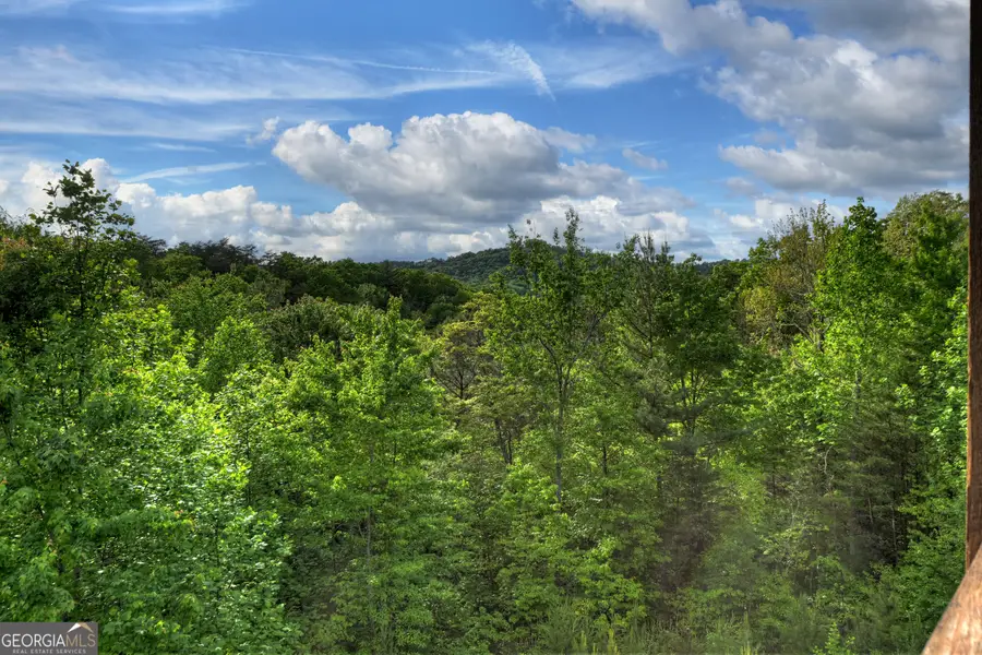 3804 Aska Road, Blue Ridge, GA 30513 - #3