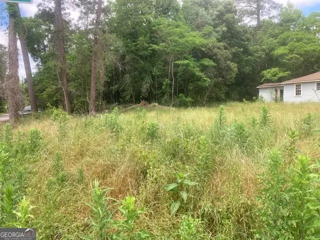 141 Ramsey Street, Milledgeville, GA 31061 - #2