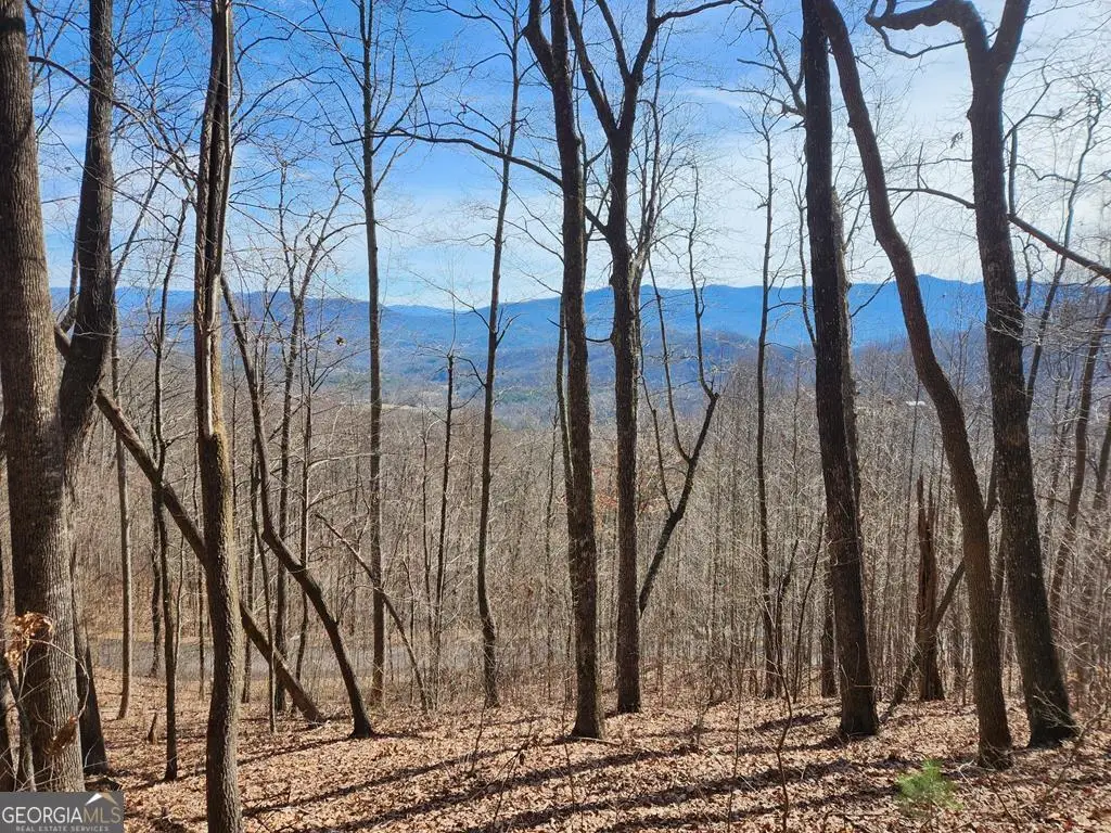 #28 Overlook Loop, Young Harris, GA 30582 - #1