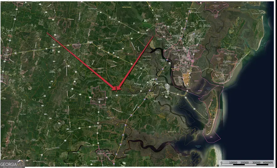 5.01 ACRES La Sole Lane, Waverly, GA 31565 - #3